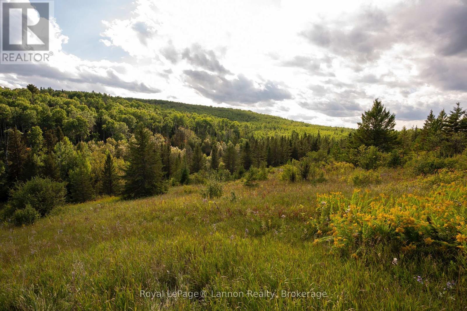6627 DAWSON ROAD, Thunder Bay Remote Area (Dawson Road Lots) — photo 3