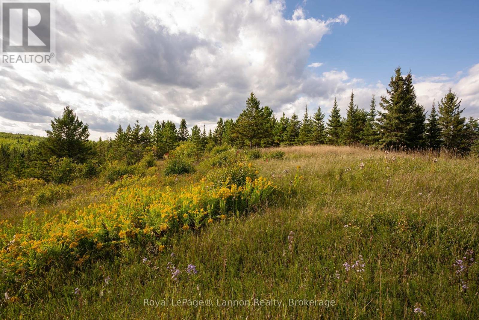 6627 DAWSON ROAD, Thunder Bay Remote Area (Dawson Road Lots) — photo 4