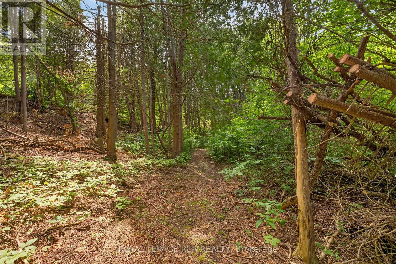 308339 HOCKLEY ROAD - Image 47