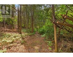 308339 Hockley Road, Mono, ON L9W6N4 Photo 47