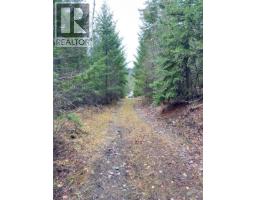 Lot 7 Fadear Creek Road, Kamloops, BC V0E2E0 Photo 8