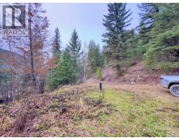 Lot 7 Fadear Creek Road, Kamloops, BC V0E2E0 Photo 9