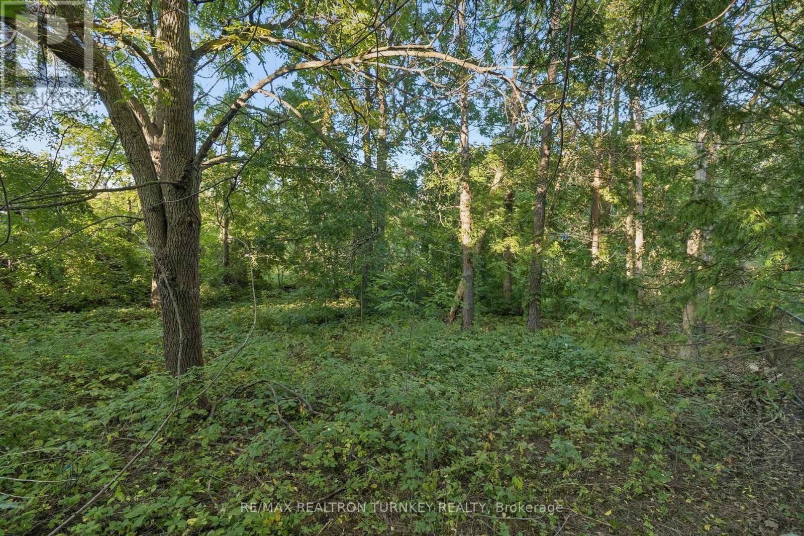 105 BOLTON AVENUE - Image 38