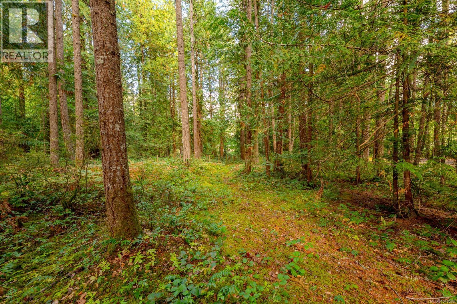 1115 Chapman Rd - 72