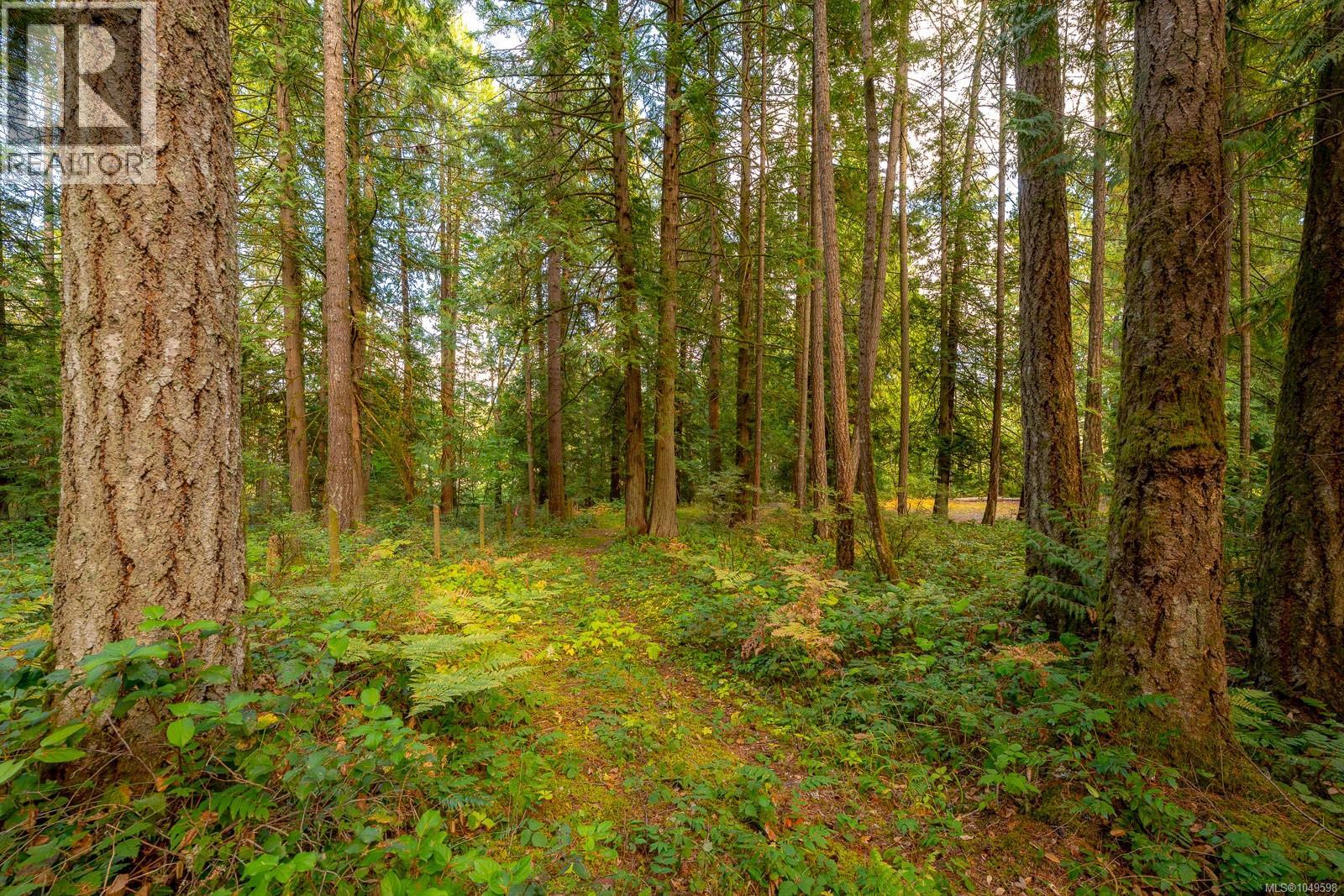 1115 Chapman Rd - 71