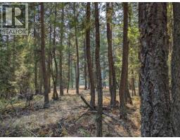 8569 Black Mountain Road, Chase, BC V0E1M0 Photo 10