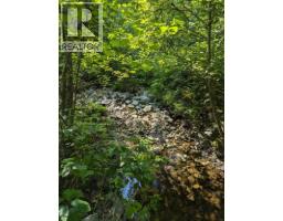 8569 Black Mountain Road, Chase, BC V0E1M0 Photo 11