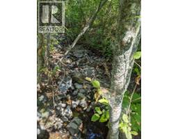 8569 Black Mountain Road, Chase, BC V0E1M0 Photo 12