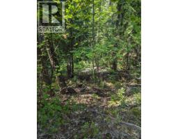 8569 Black Mountain Road, Chase, BC V0E1M0 Photo 13