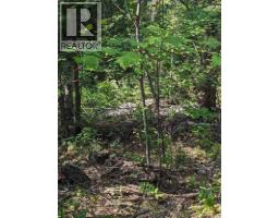 8569 Black Mountain Road, Chase, BC V0E1M0 Photo 16