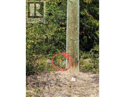 8569 Black Mountain Road, Chase, BC V0E1M0 Photo 18