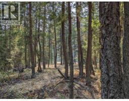 8569 Black Mountain Road, Chase, BC V0E1M0 Photo 20