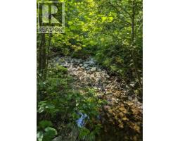 8569 Black Mountain Road, Chase, BC V0E1M0 Photo 21