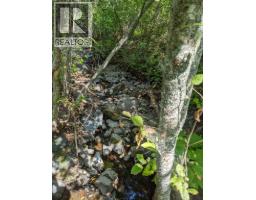 8569 Black Mountain Road, Chase, BC V0E1M0 Photo 22