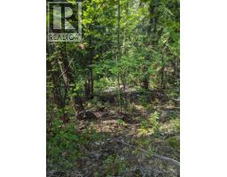 8569 Black Mountain Road, Chase, BC V0E1M0 Photo 23