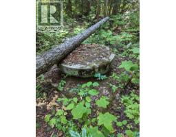 8569 Black Mountain Road, Chase, BC V0E1M0 Photo 24
