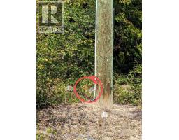 8569 Black Mountain Road, Chase, BC V0E1M0 Photo 28