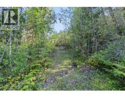 8569 Black Mountain Road, Chase, BC V0E1M0 Photo 38