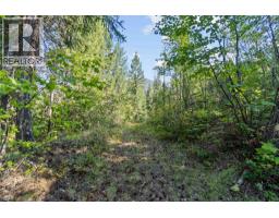 8569 Black Mountain Road, Chase, BC V0E1M0 Photo 39