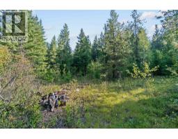 8569 Black Mountain Road, Chase, BC V0E1M0 Photo 40