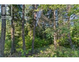 8569 Black Mountain Road, Chase, BC V0E1M0 Photo 43