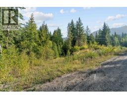 8569 Black Mountain Road, Chase, BC V0E1M0 Photo 46