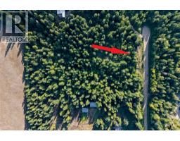 8569 Black Mountain Road, Chase, BC V0E1M0 Photo 47