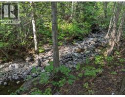 8569 Black Mountain Road, Chase, BC V0E1M0 Photo 7