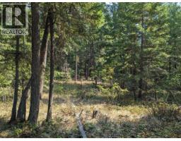 8569 Black Mountain Road, Chase, BC V0E1M0 Photo 9