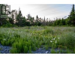 Lot B-4 Highway 7, Popes Harbour, NS B0J3H0 Photo 6