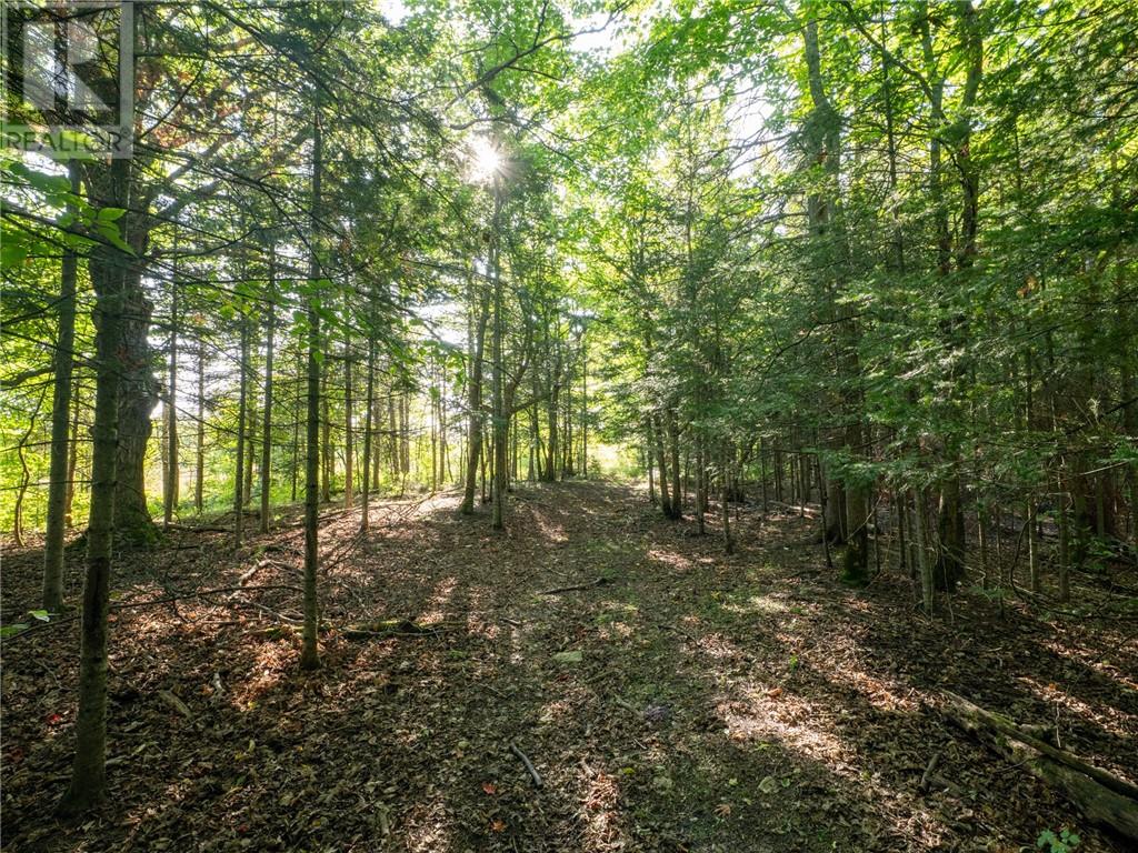 450 Fields Road, Manitowaning — photo 17
