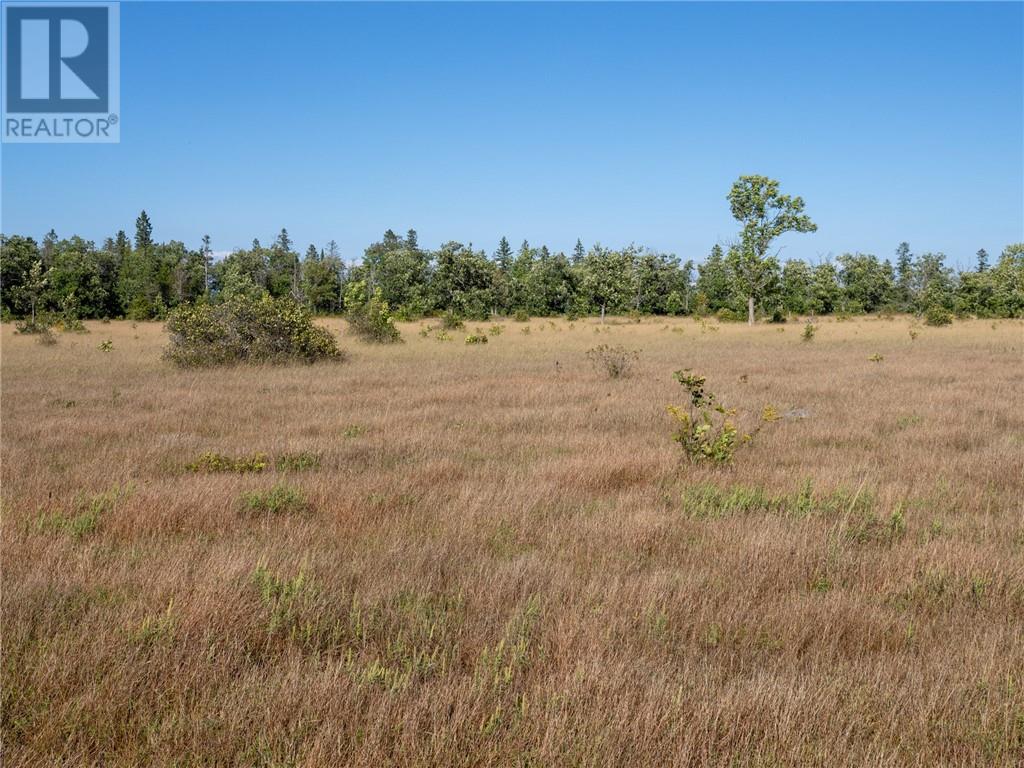 450 Fields Road, Manitowaning — photo 42