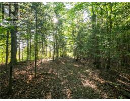 450 Fields Road, Manitowaning, ON P0P1N0 Photo 17