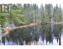 1555 Minnicock Lake Road, Dysart Et Al, ON K0M1S0 Photo 13