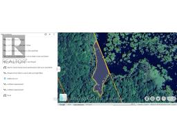 1555 Minnicock Lake Road, Dysart Et Al, ON K0M1S0 Photo 24