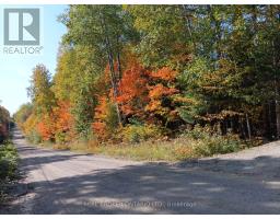 1555 Minnicock Lake Road, Dysart Et Al, ON K0M1S0 Photo 8