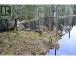 1555 Minnicock Lake Road, Dysart Et Al, ON K0M1S0 Photo 14