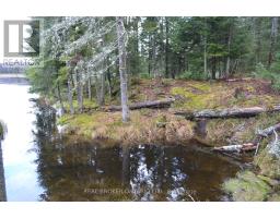 1555 Minnicock Lake Road, Dysart Et Al, ON K0M1S0 Photo 10
