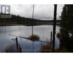 1555 Minnicock Lake Road, Dysart Et Al, ON K0M1S0 Photo 11