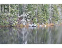 1555 Minnicock Lake Road, Dysart Et Al, ON K0M1S0 Photo 12