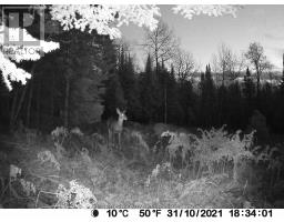 1555 Minnicock Lake Road, Dysart Et Al, ON K0M1S0 Photo 16