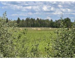 Se-12-49-8- W5m, Rural Brazeau County, AB T0E1Z0 Photo 11