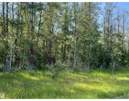 Se-12-49-8- W5m, Rural Brazeau County, AB T0E1Z0 Photo 12