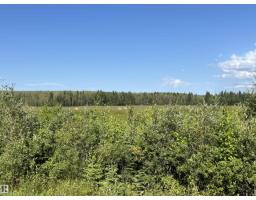 Se-12-49-8- W5m, Rural Brazeau County, AB T0E1Z0 Photo 13