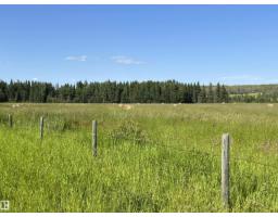 Se-12-49-8- W5m, Rural Brazeau County, AB T0E1Z0 Photo 15