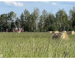 Se-12-49-8- W5m, Rural Brazeau County, AB T0E1Z0 Photo 17