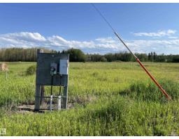 Se-12-49-8- W5m, Rural Brazeau County, AB T0E1Z0 Photo 24