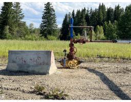 Se-12-49-8- W5m, Rural Brazeau County, AB T0E1Z0 Photo 25