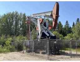 Se-12-49-8- W5m, Rural Brazeau County, AB T0E1Z0 Photo 8