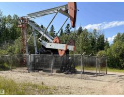 Se-12-49-8- W5m, Rural Brazeau County, AB T0E1Z0 Photo 9